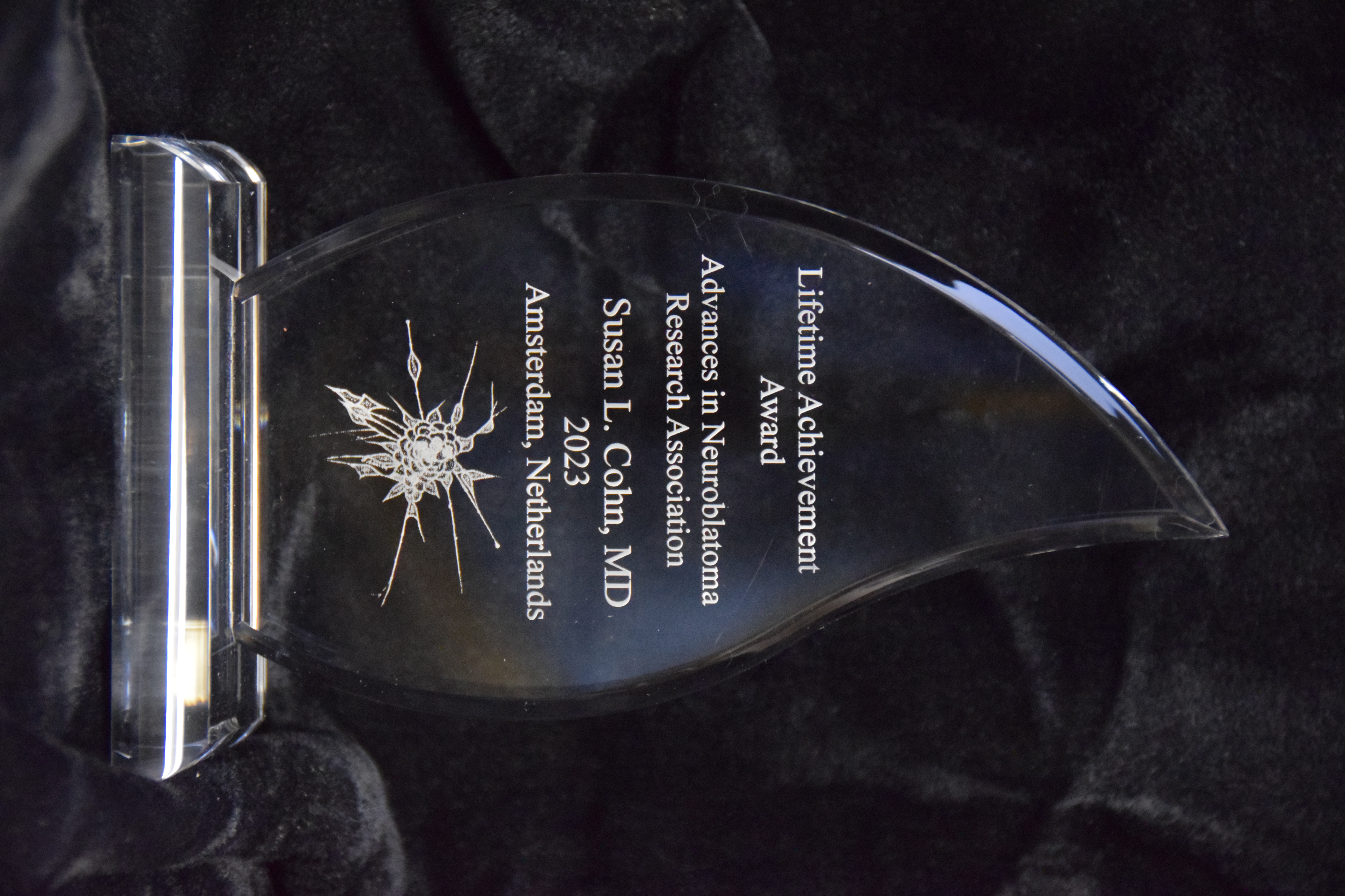 ANR 2023 Amsterdam - LAA Awards