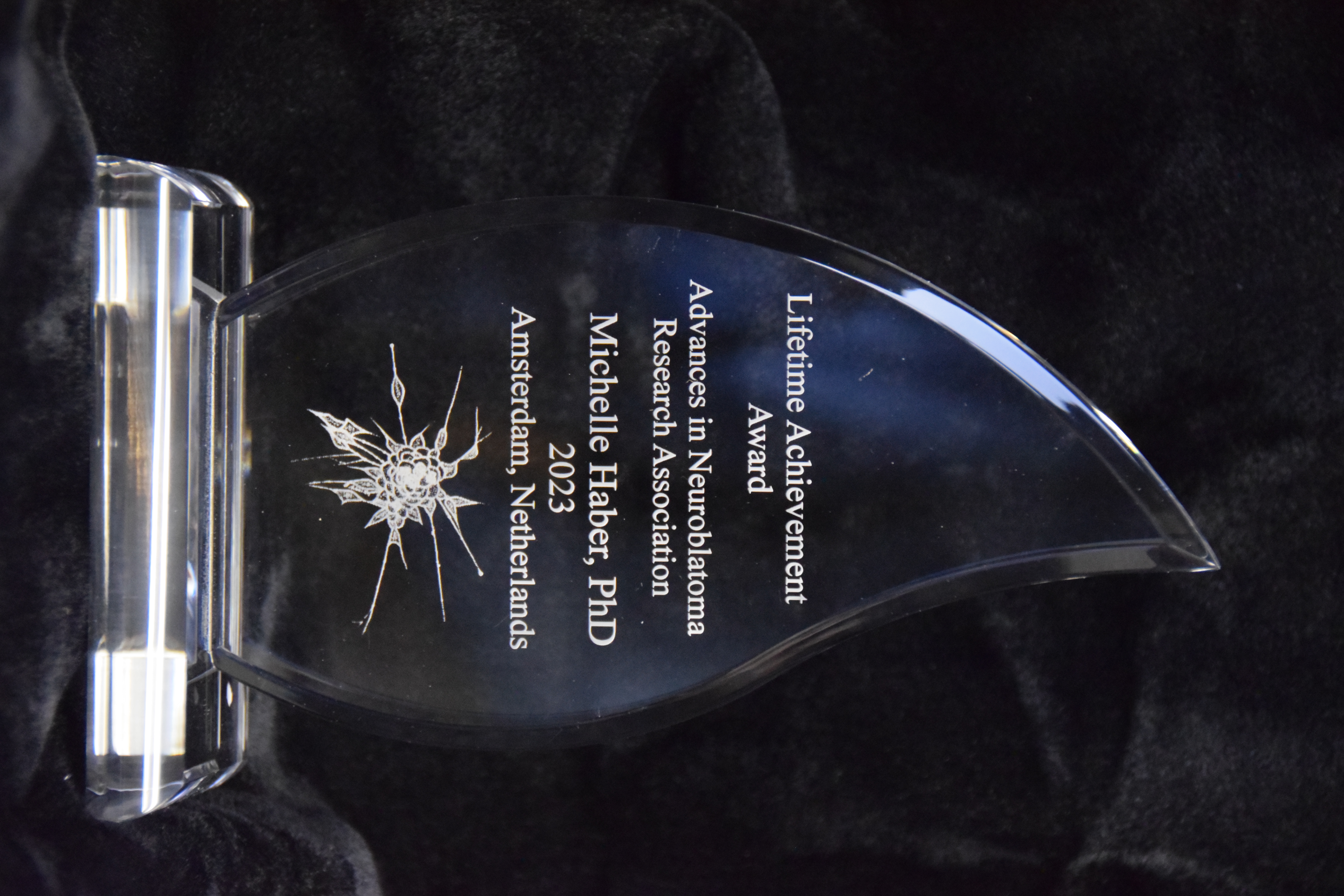 ANR 2023 Amsterdam - LAA Awards