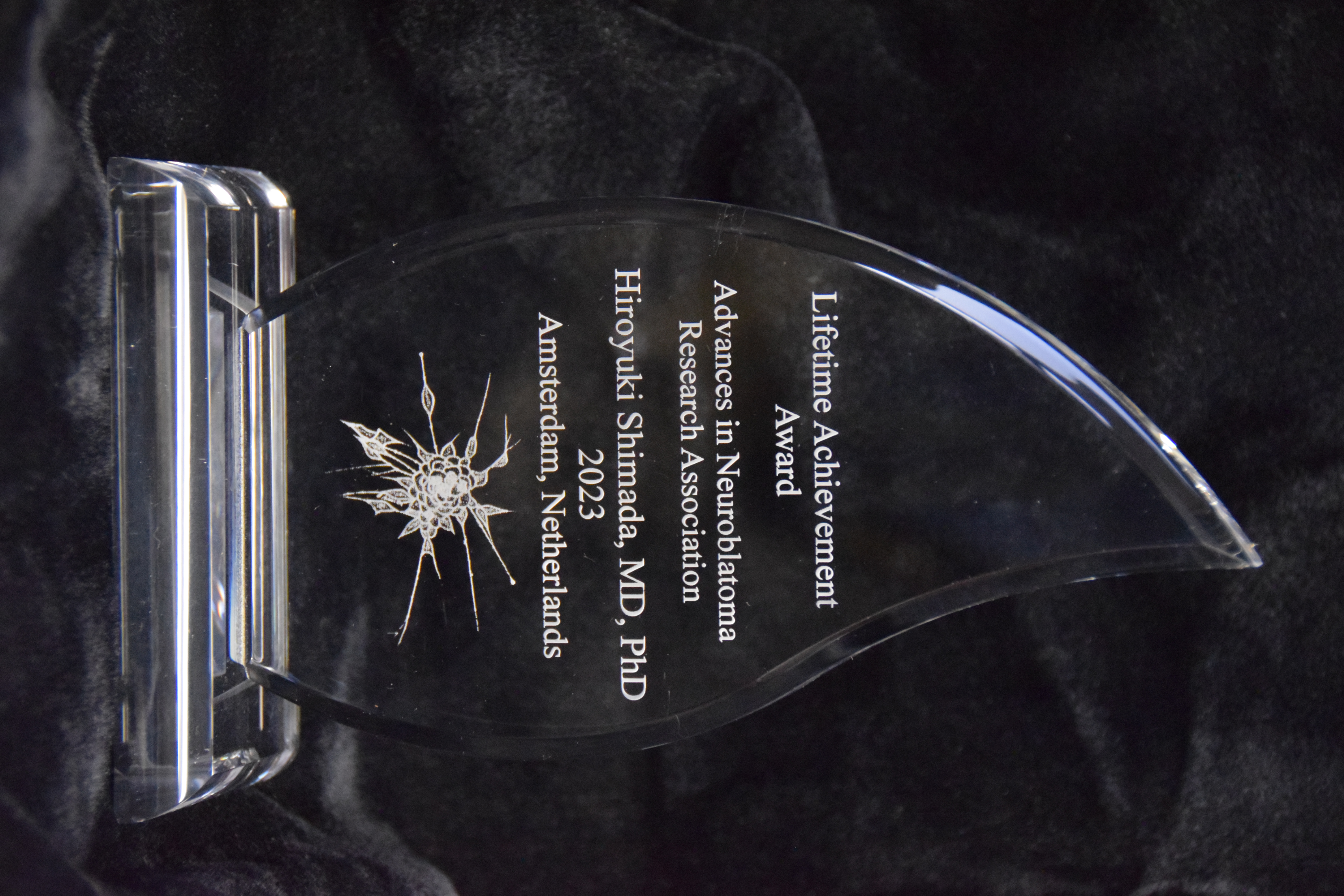 ANR 2023 Amsterdam - LAA Awards