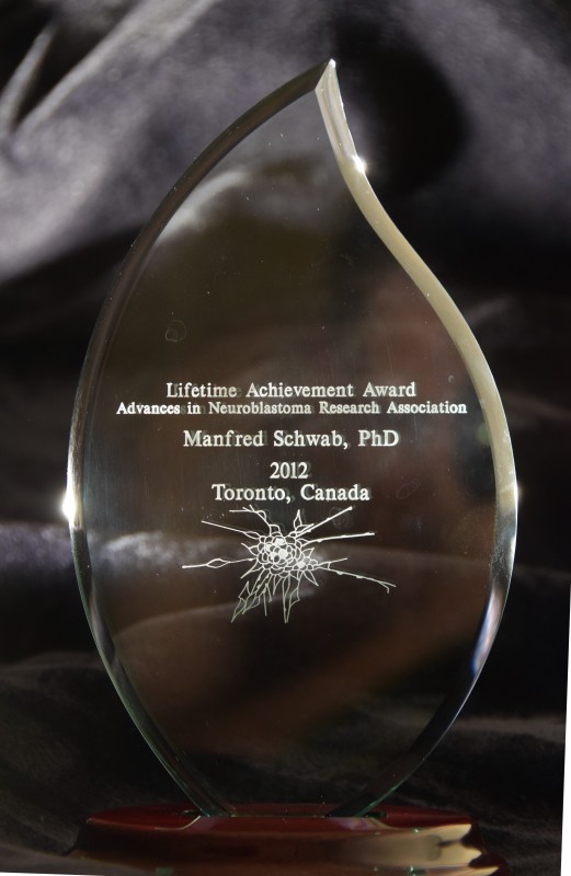 Award Statue for Dr Schwab